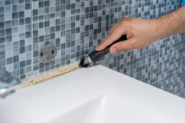 Best Mold Remediation  in North Amityville, NY